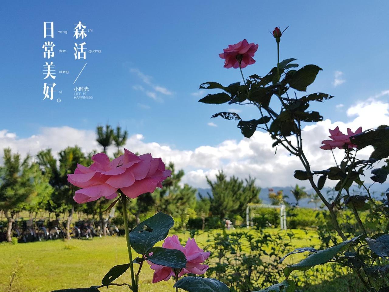 台東鹿野森活 訂房後來電確認 Appartement Buitenkant foto